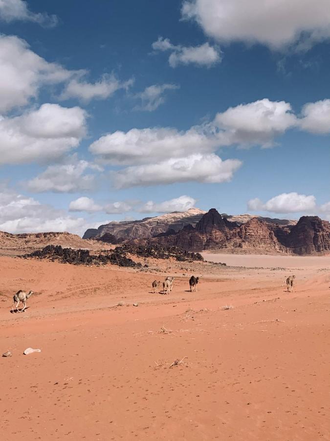 Wadi Rum Story Exterior foto